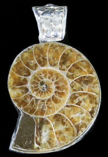 Ammonite Fossil Pendant - Sterling Silver #38076